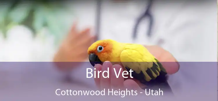 Bird Vet Cottonwood Heights - Utah