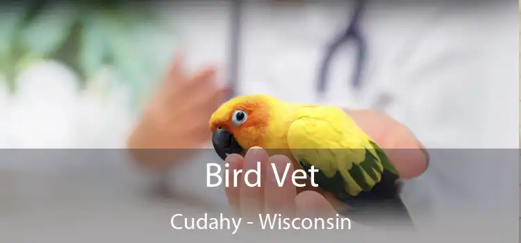 Bird Vet Cudahy - Wisconsin