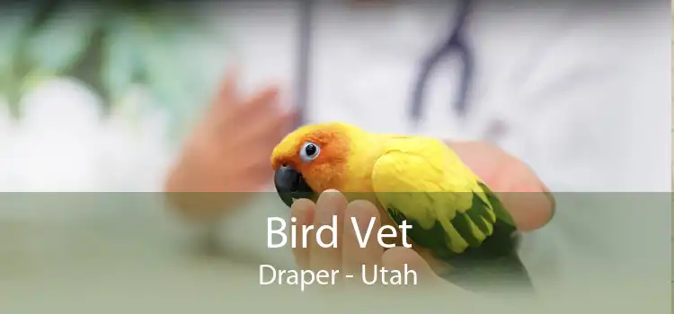 Bird Vet Draper - Utah