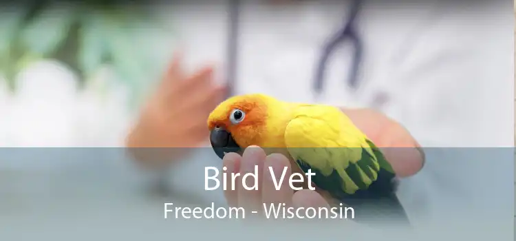 Bird Vet Freedom - Wisconsin