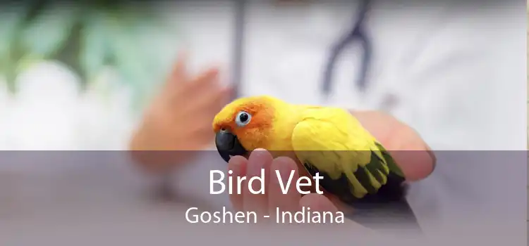 Bird Vet Goshen - Indiana