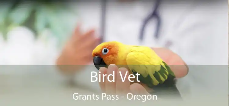 Bird Vet Grants Pass - Oregon