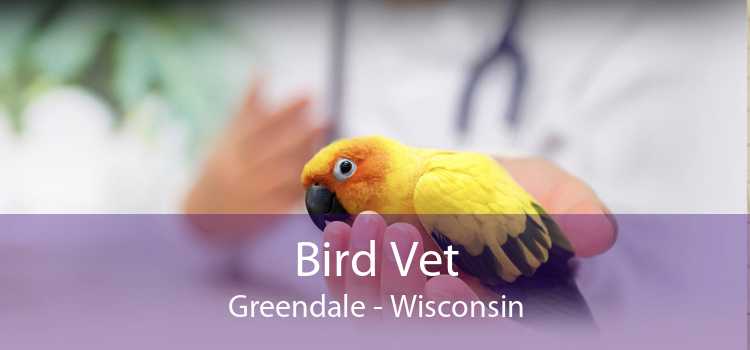Bird Vet Greendale - Wisconsin