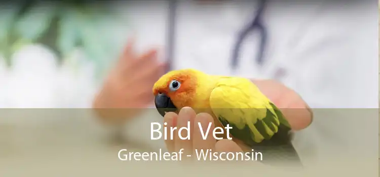 Bird Vet Greenleaf - Wisconsin