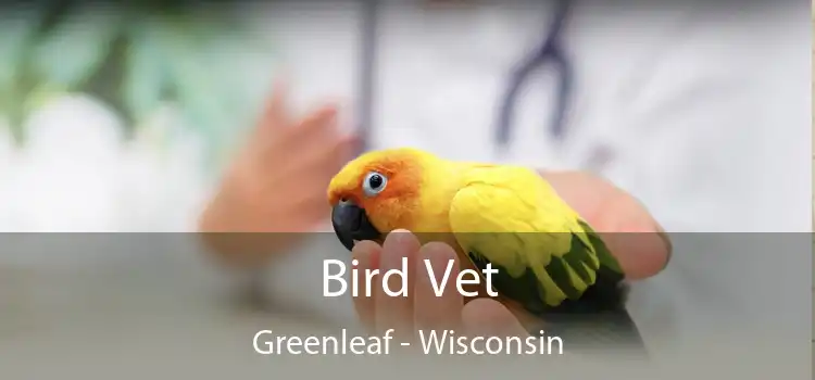 Bird Vet Greenleaf - Wisconsin