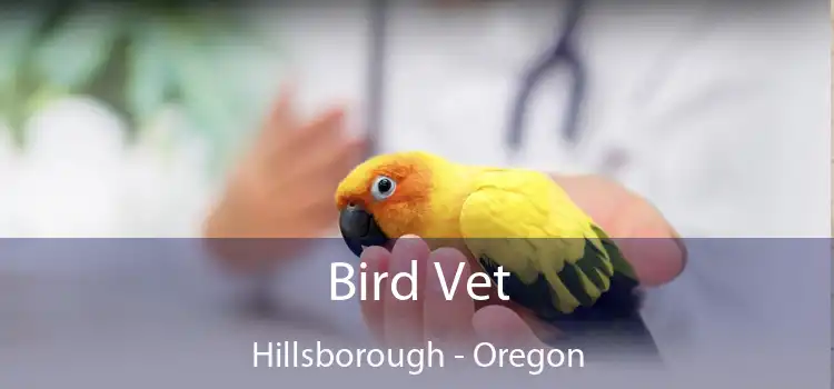 Bird Vet Hillsborough - Oregon
