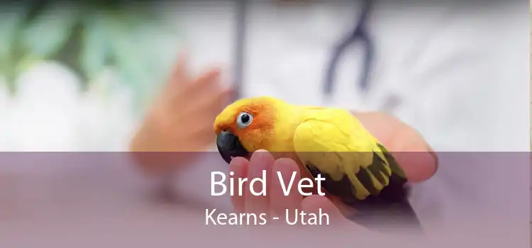 Bird Vet Kearns - Utah