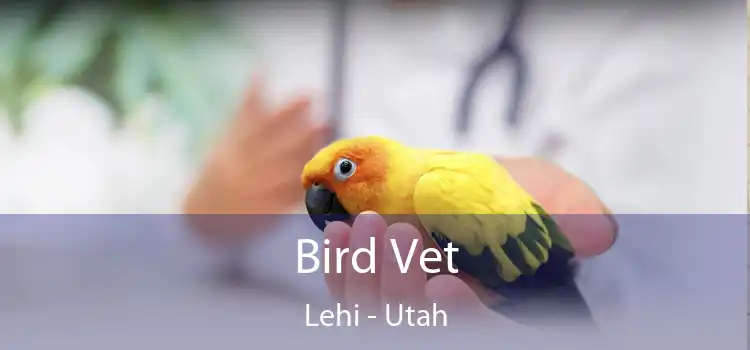 Bird Vet Lehi - Utah