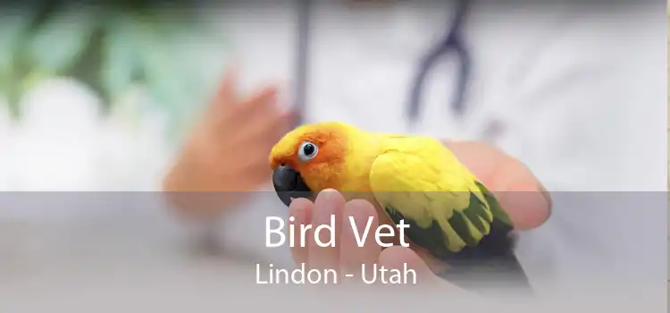 Bird Vet Lindon - Utah