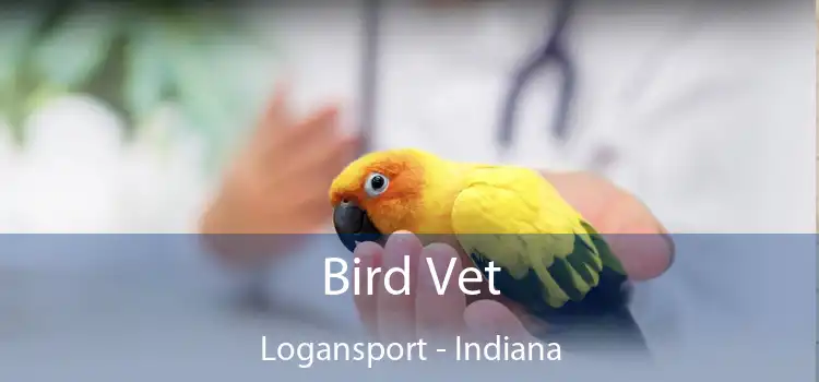 Bird Vet Logansport - Indiana