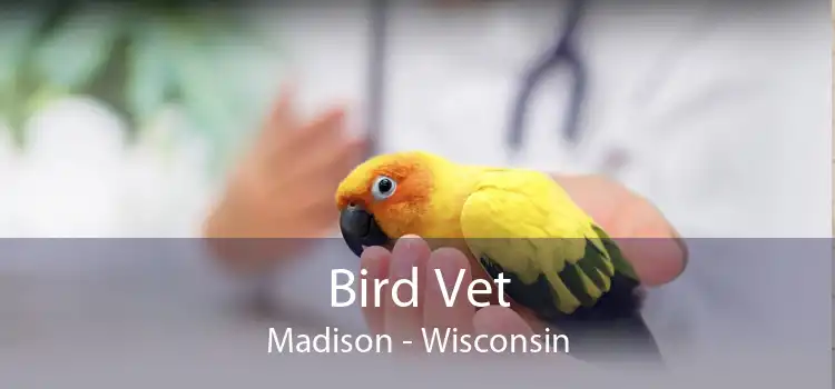 Bird Vet Madison - Wisconsin