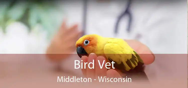 Bird Vet Middleton - Wisconsin