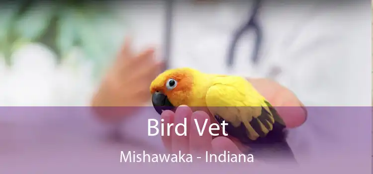 Bird Vet Mishawaka - Indiana
