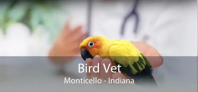 Bird Vet Monticello - Indiana
