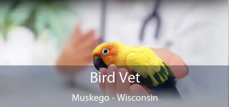 Bird Vet Muskego - Wisconsin