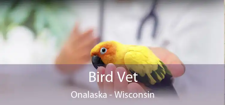 Bird Vet Onalaska - Wisconsin