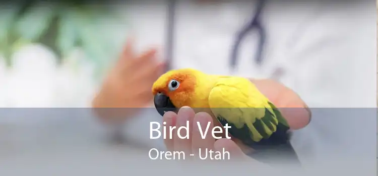 Bird Vet Orem - Utah
