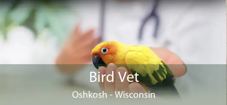 Bird Vet Oshkosh - Wisconsin