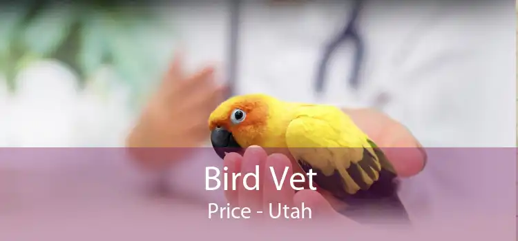 Bird Vet Price - Utah