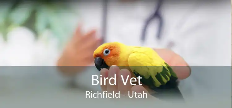 Bird Vet Richfield - Utah