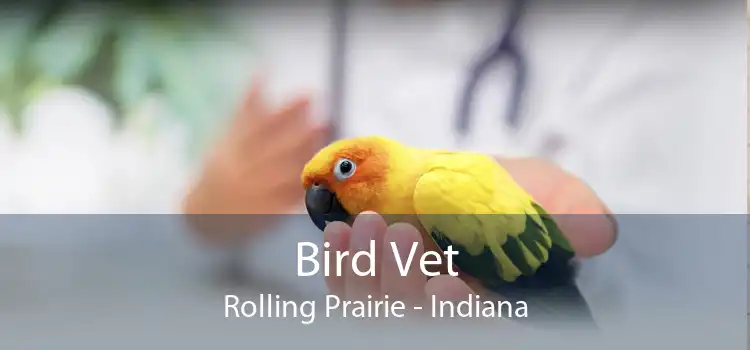 Bird Vet Rolling Prairie - Indiana