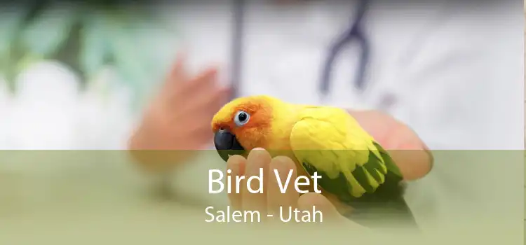 Bird Vet Salem - Utah