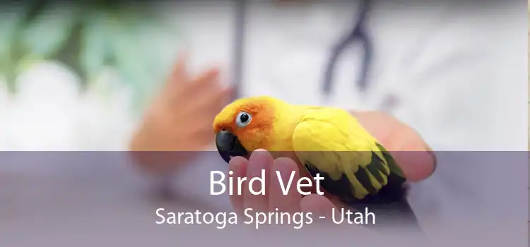 Bird Vet Saratoga Springs - Utah