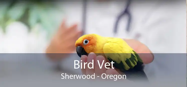 Bird Vet Sherwood - Oregon