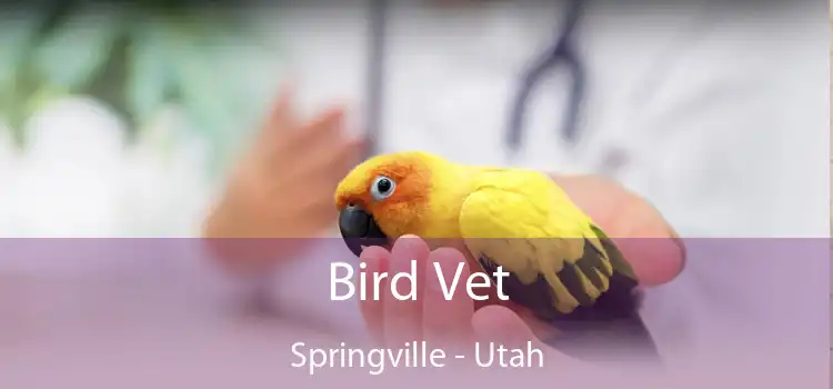 Bird Vet Springville - Utah
