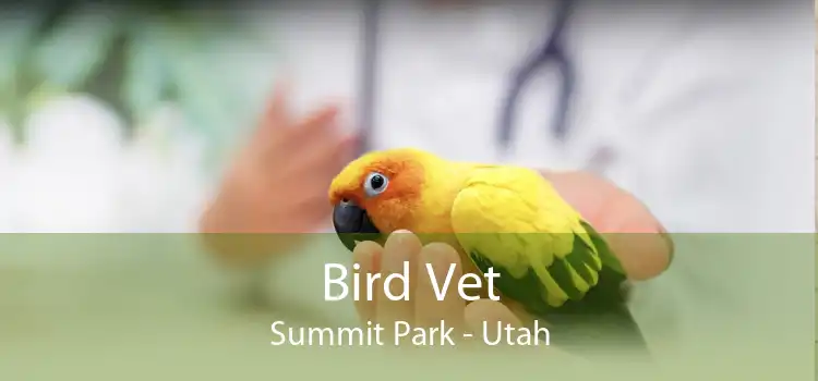Bird Vet Summit Park - Utah