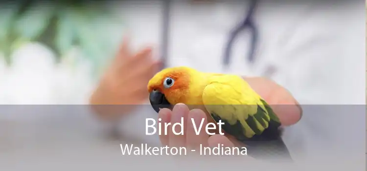 Bird Vet Walkerton - Indiana