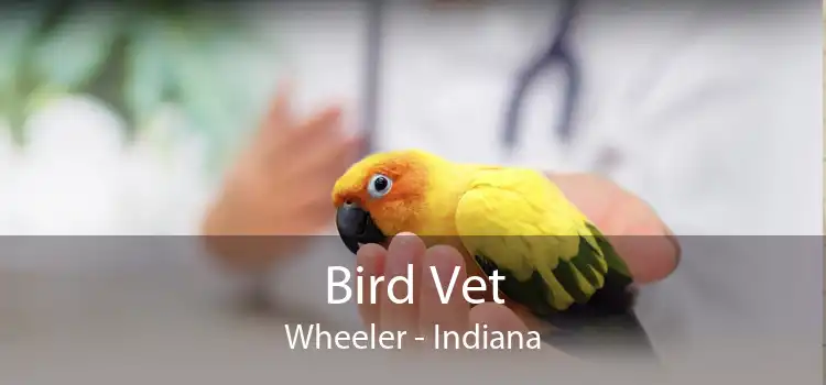 Bird Vet Wheeler - Indiana