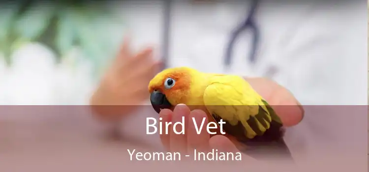 Bird Vet Yeoman - Indiana