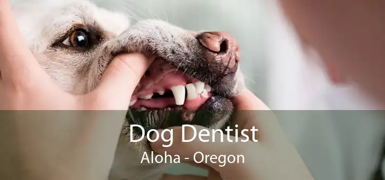 Dog Dentist Aloha - Oregon