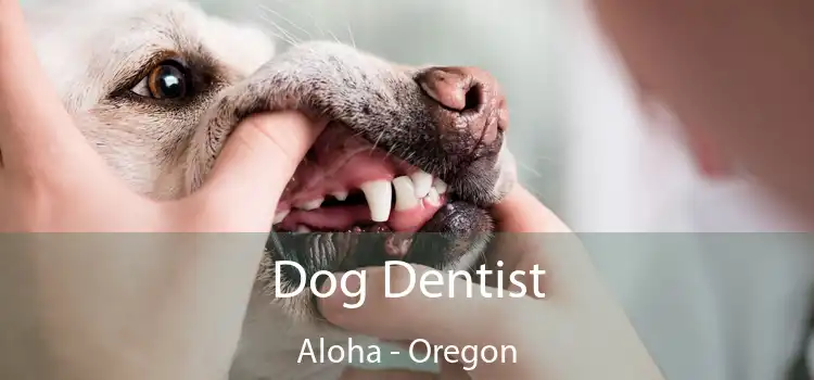 Dog Dentist Aloha - Oregon