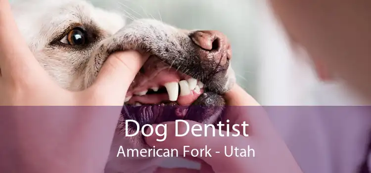 Dog Dentist American Fork - Utah