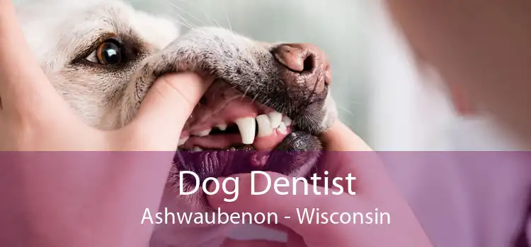 Dog Dentist Ashwaubenon - Wisconsin