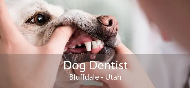 Dog Dentist Bluffdale - Utah
