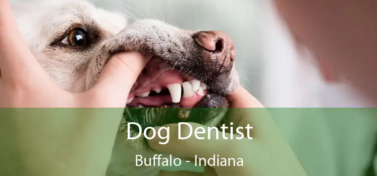 Dog Dentist Buffalo - Indiana