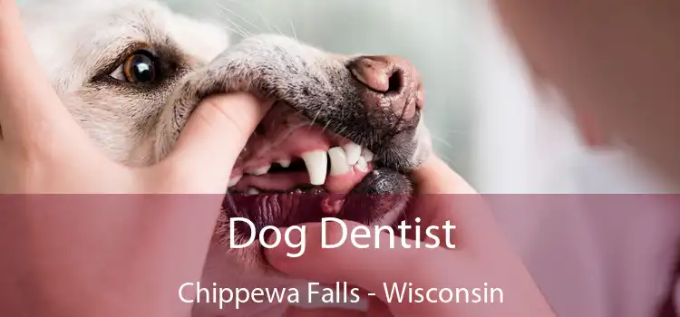 Dog Dentist Chippewa Falls - Wisconsin