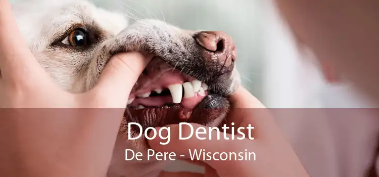 Dog Dentist De Pere - Wisconsin