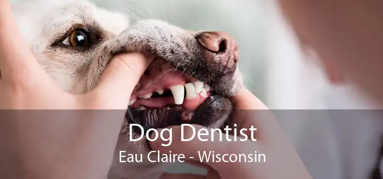 Dog Dentist Eau Claire - Wisconsin