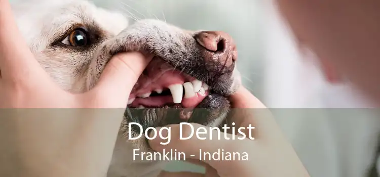 Dog Dentist Franklin - Indiana