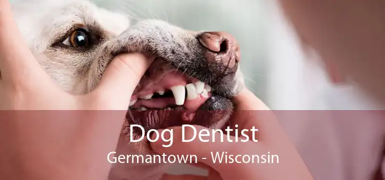 Dog Dentist Germantown - Wisconsin