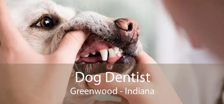 Dog Dentist Greenwood - Indiana