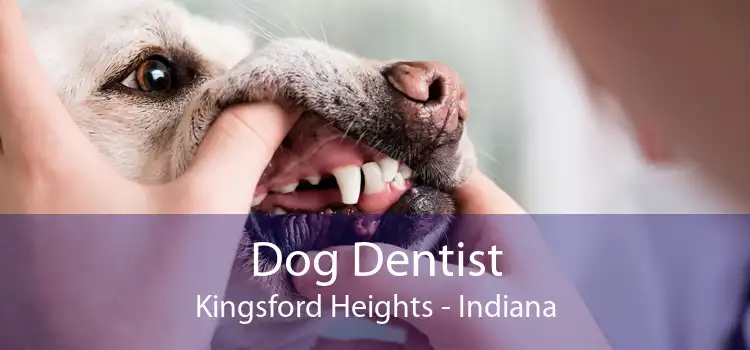 Dog Dentist Kingsford Heights - Indiana