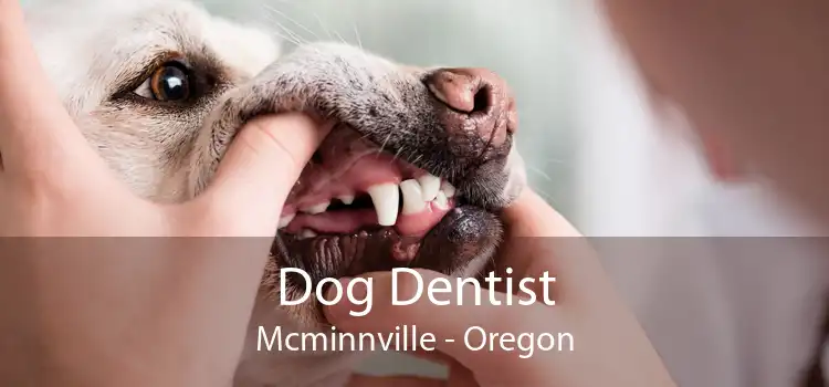 Dog Dentist McMinnville - Oregon