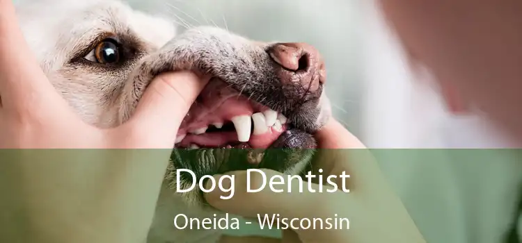 Dog Dentist Oneida - Wisconsin