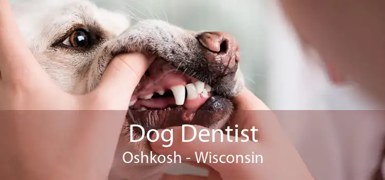 Dog Dentist Oshkosh - Wisconsin
