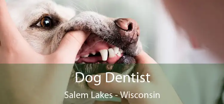 Dog Dentist Salem Lakes - Wisconsin